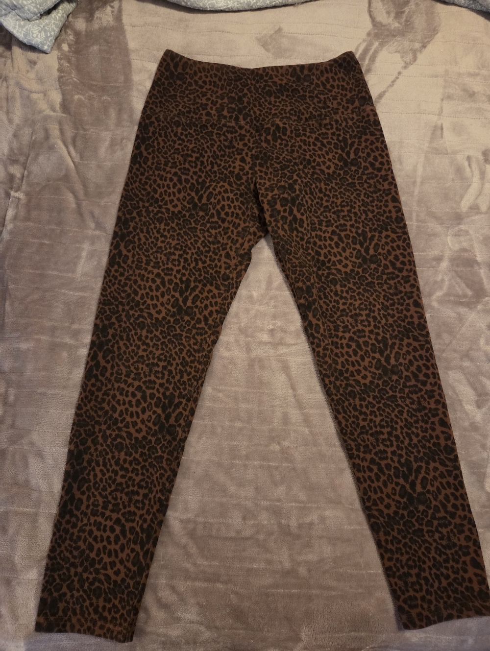 Sauve Leopard Print Tummy Control Leggings